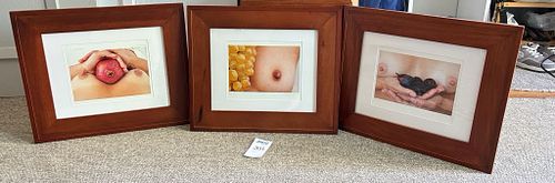 Lot #203 (1 of 6)