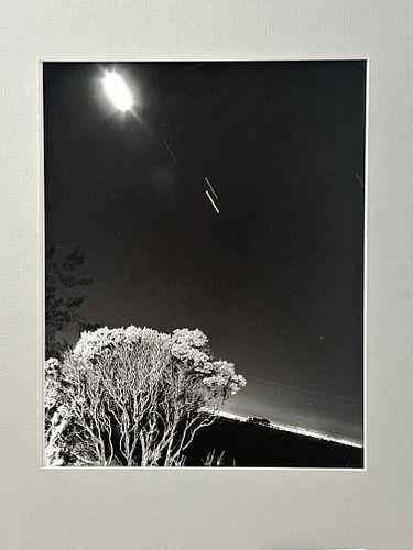 Lot #41 (1 of 10)