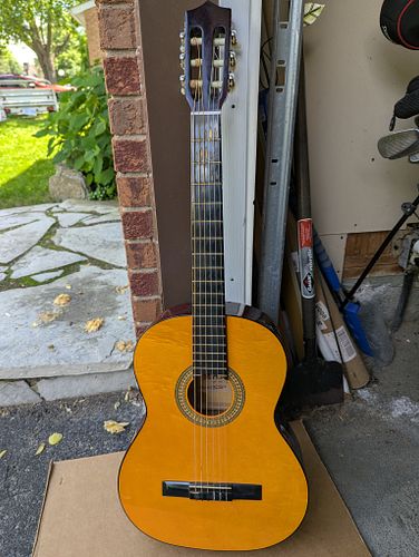 Lot #53 (1 of 12)