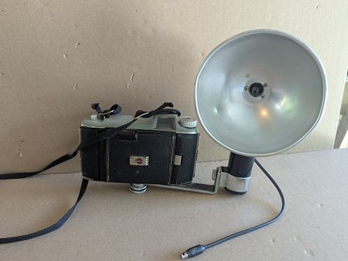Lot #258 (1 of 7)