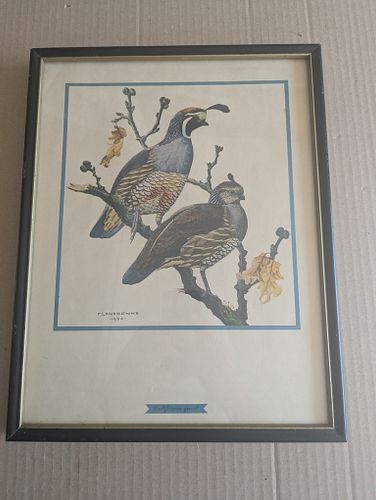 Lot #366 (1 of 4)