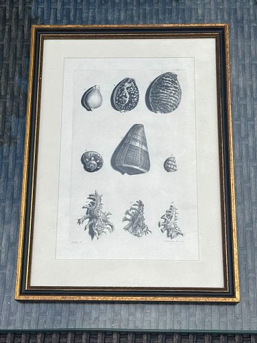 Lot #20 (1 of 12)