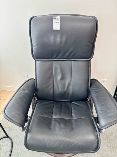 Lot #256 (1 of 9)
