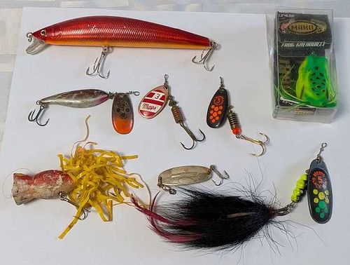 Lot #8 (1 of 18)