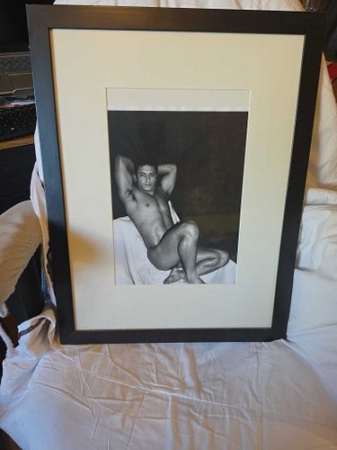 Lot #42 (1 of 5)