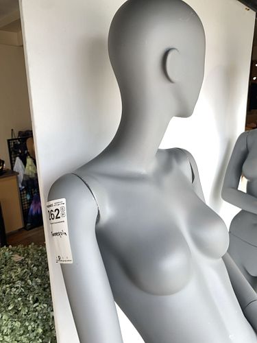 Lot #262 (1 of 8)