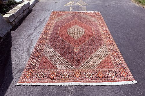 Lot #243 (1 of 8)