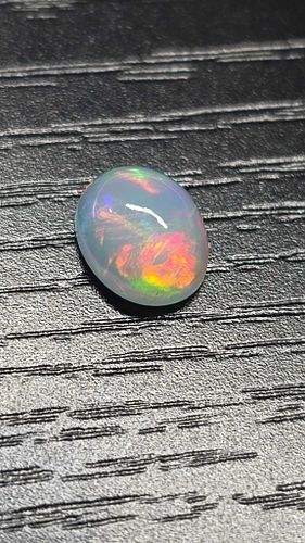 Lot #9 (1 of 9)