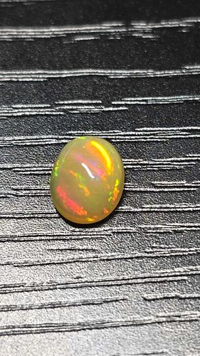Lot #16 (1 of 5)
