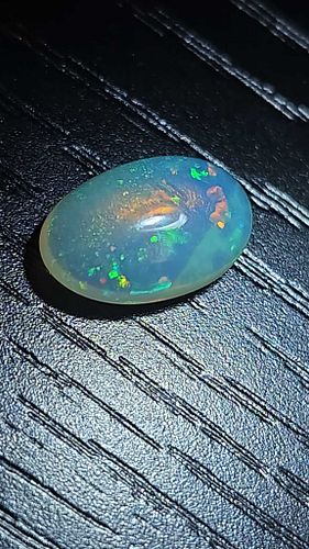 Lot #29 (1 of 14)