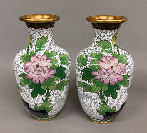 Lot #646 (1 of 5)