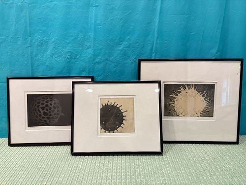 Lot #105 (1 of 16)