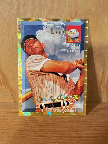 Lot #22 (1 of 5)