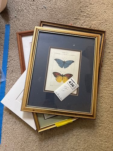 Lot #436 (1 of 8)