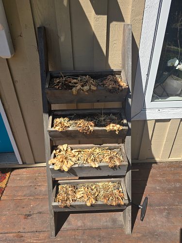 Lot #26 (1 of 1)