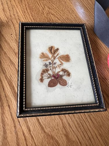 Lot #4 (1 of 3)