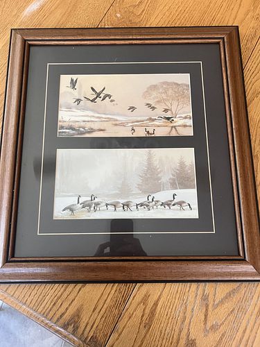 Lot #16 (1 of 3)