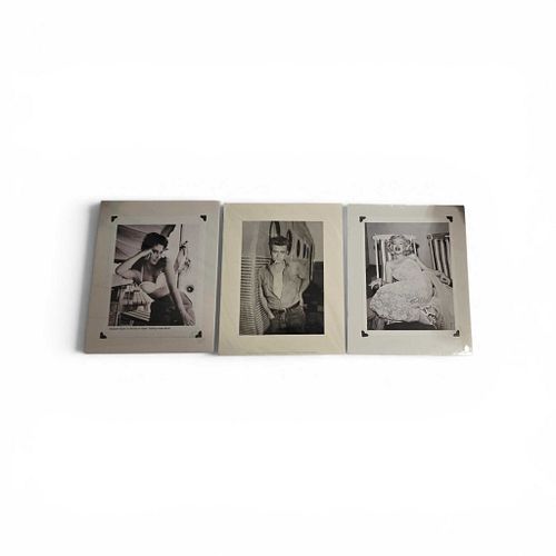 Lot #16 (1 of 4)