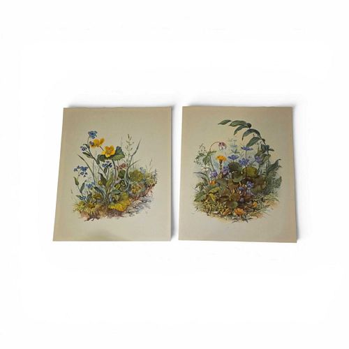 Lot #38 (1 of 3)