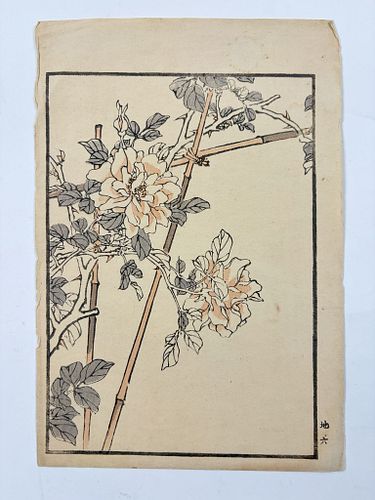 Lot #15 (1 of 5)