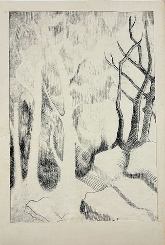 Lot #23 (1 of 6)
