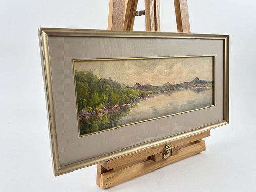 Lot #46 (1 of 6)