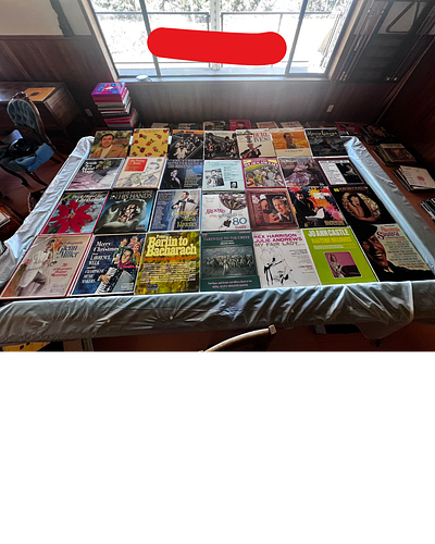 Lot #18 (1 of 3)