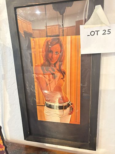 Lot #25 (1 of 3)