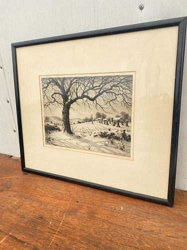 Lot #3 (1 of 5)