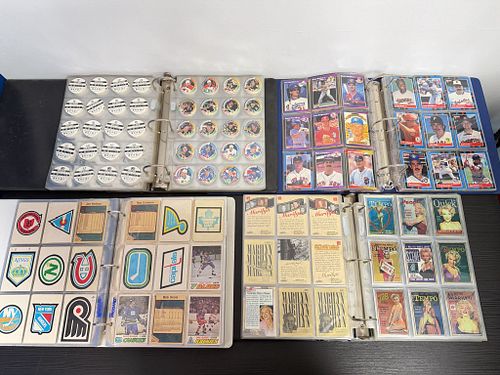 Lot #345 (1 of 20)