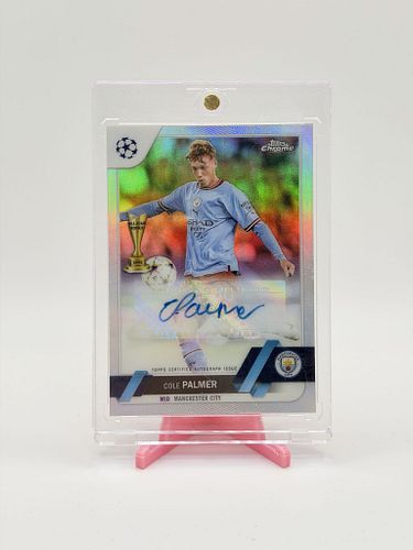 Lot #374 (1 of 3)