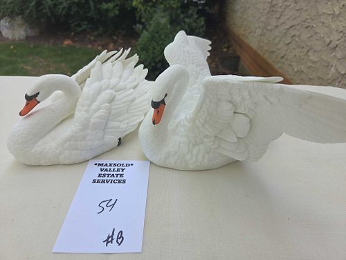 Lot #54 (1 of 12)