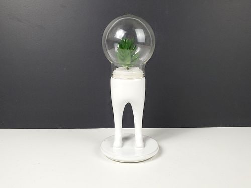 Lot #244 (1 of 12)