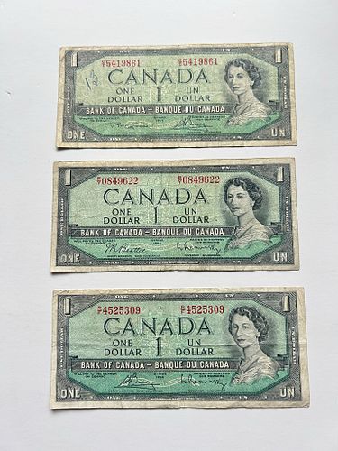 Lot #20 (1 of 2)