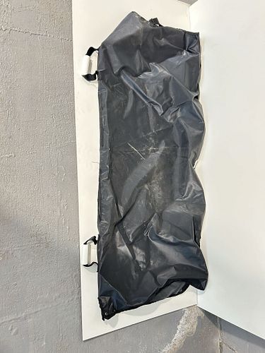 Lot #49 (1 of 2)
