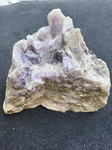 Lot #42 (1 of 5)
