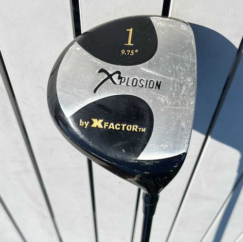 Lot #46 (1 of 11)