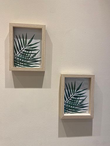 Lot #146 (1 of 2)