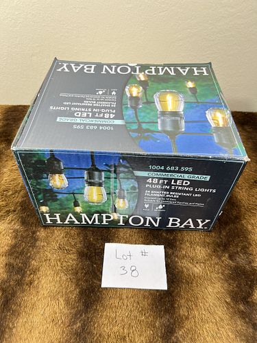Lot #38 (1 of 5)