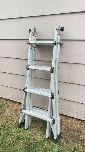 Lot #352 (1 of 13)