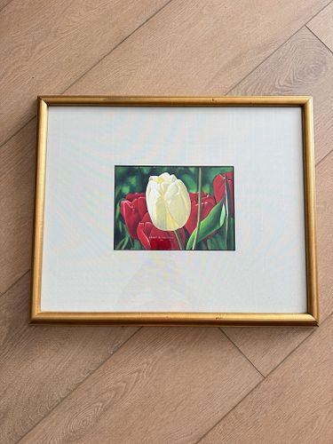 Lot #13 (1 of 7)