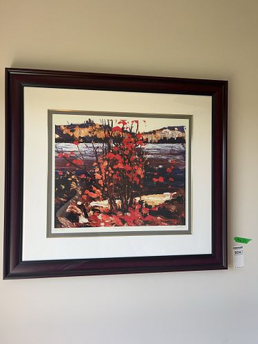 Lot #924 (1 of 13)