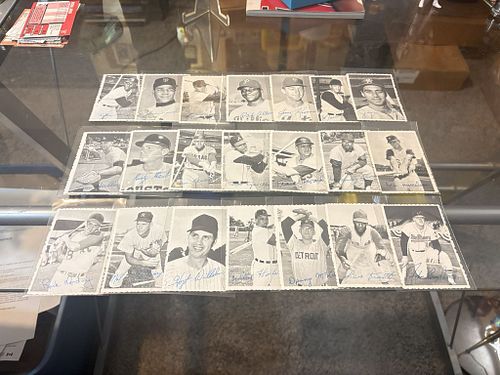Lot #16 (1 of 9)