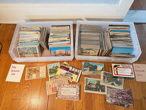 Lot #46 (1 of 12)