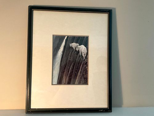 Lot #40 (1 of 8)
