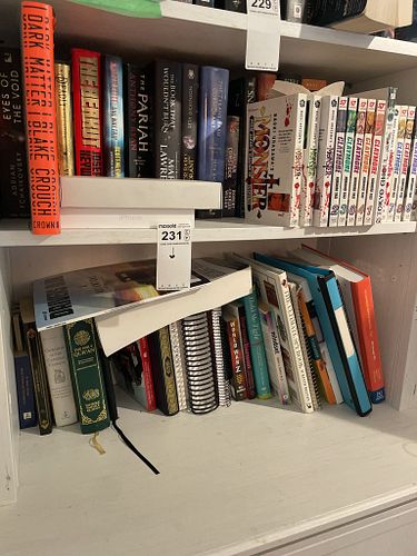 Lot #231 (1 of 16)
