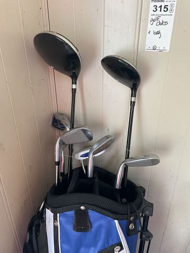 Lot #315 (1 of 15)