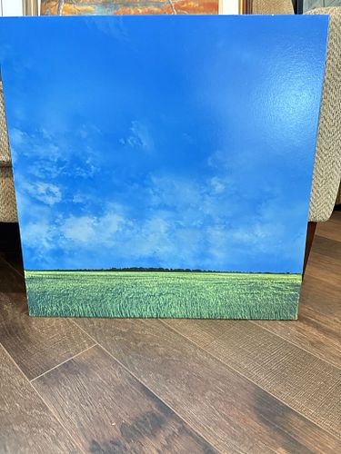 Lot #282 (1 of 4)