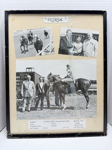 Lot #85 (1 of 12)