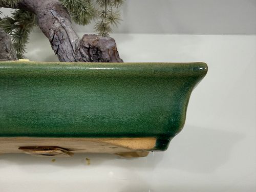 Lot #51 (1 of 6)